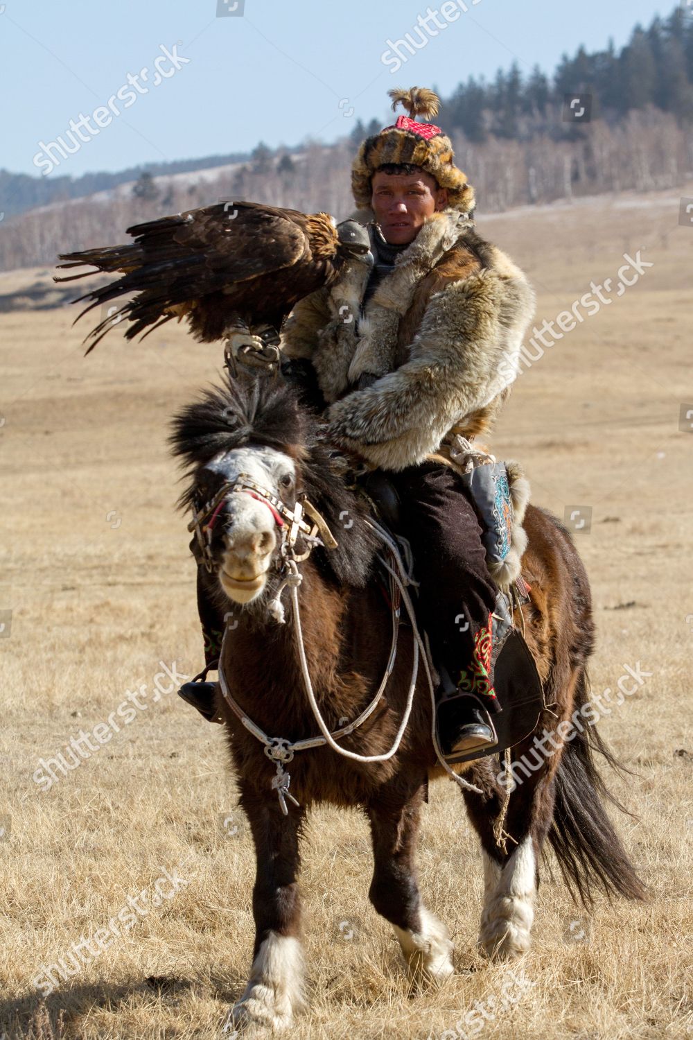 Mongolian Eagle Hunter On Horseback Attends Nomadic