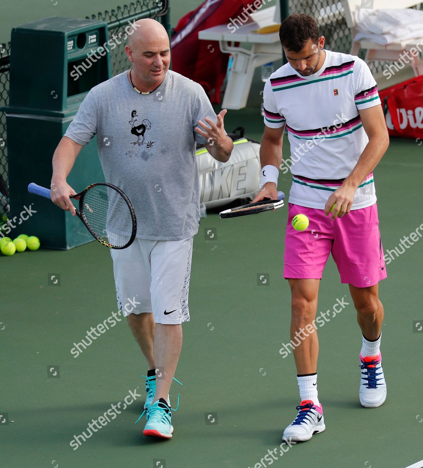 andre agassi pink shorts