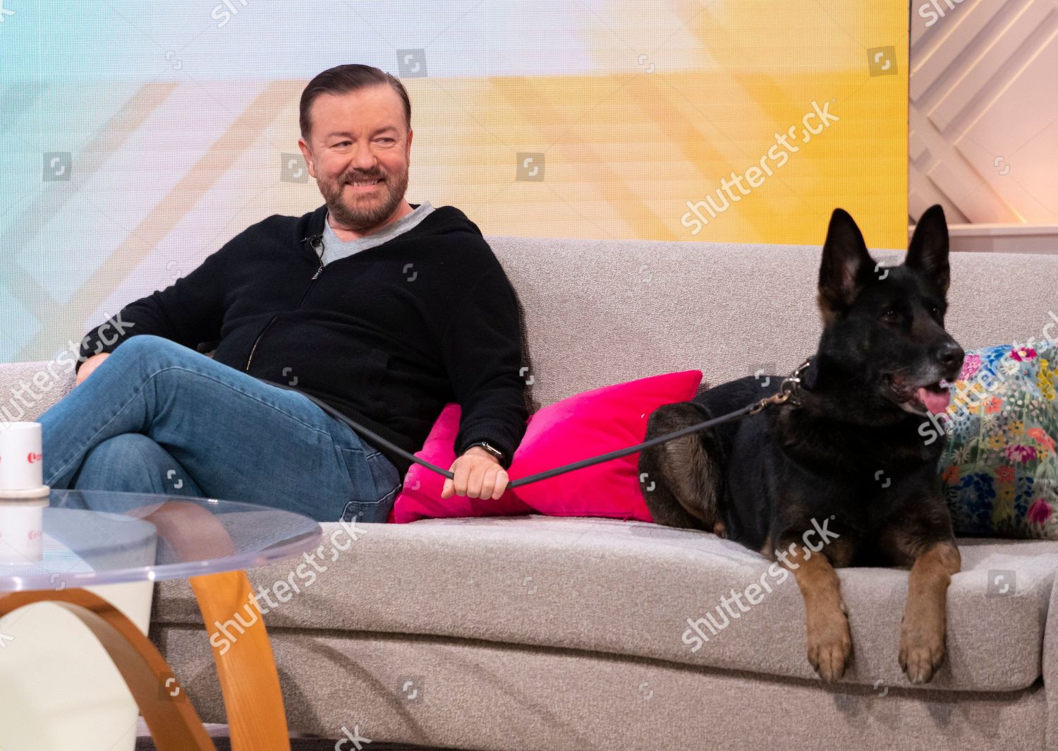 Ricky Gervais Dog Called Auntie Editorial Stock Photo - Stock Image