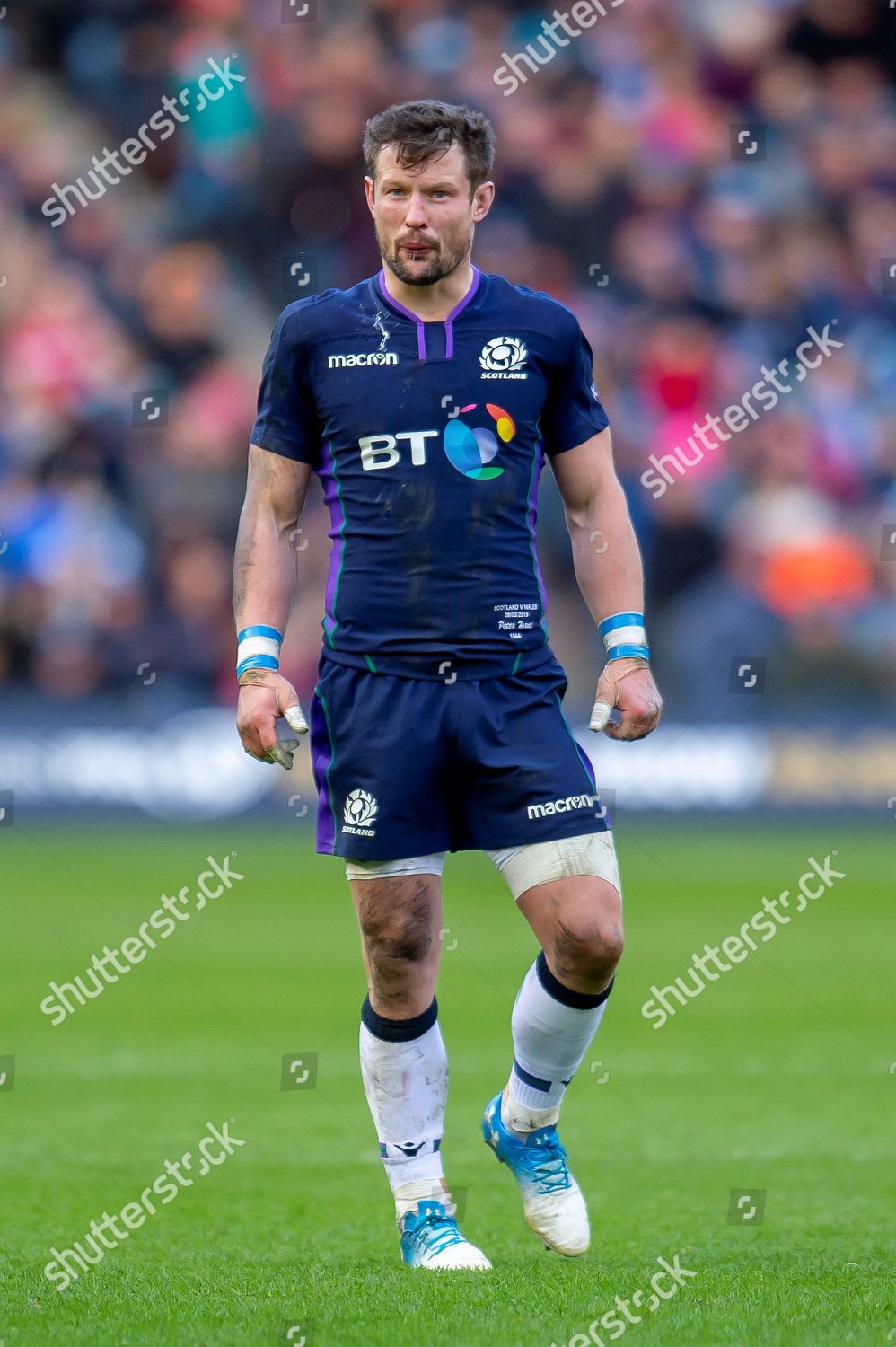 Pete Horne 12 Scotland During Guinness Editorial Stock Photo - Stock ...