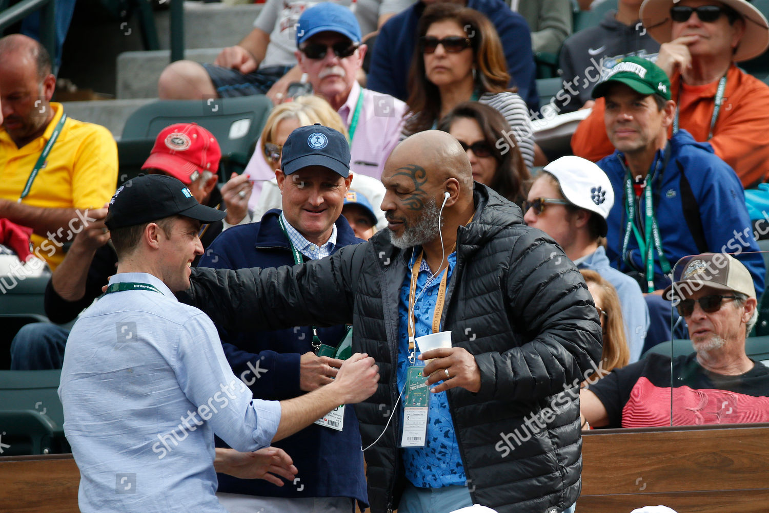 Mike Tyson Attendance Watch Serena Williams Garbine Editorial Stock Photo Stock Image Shutterstock