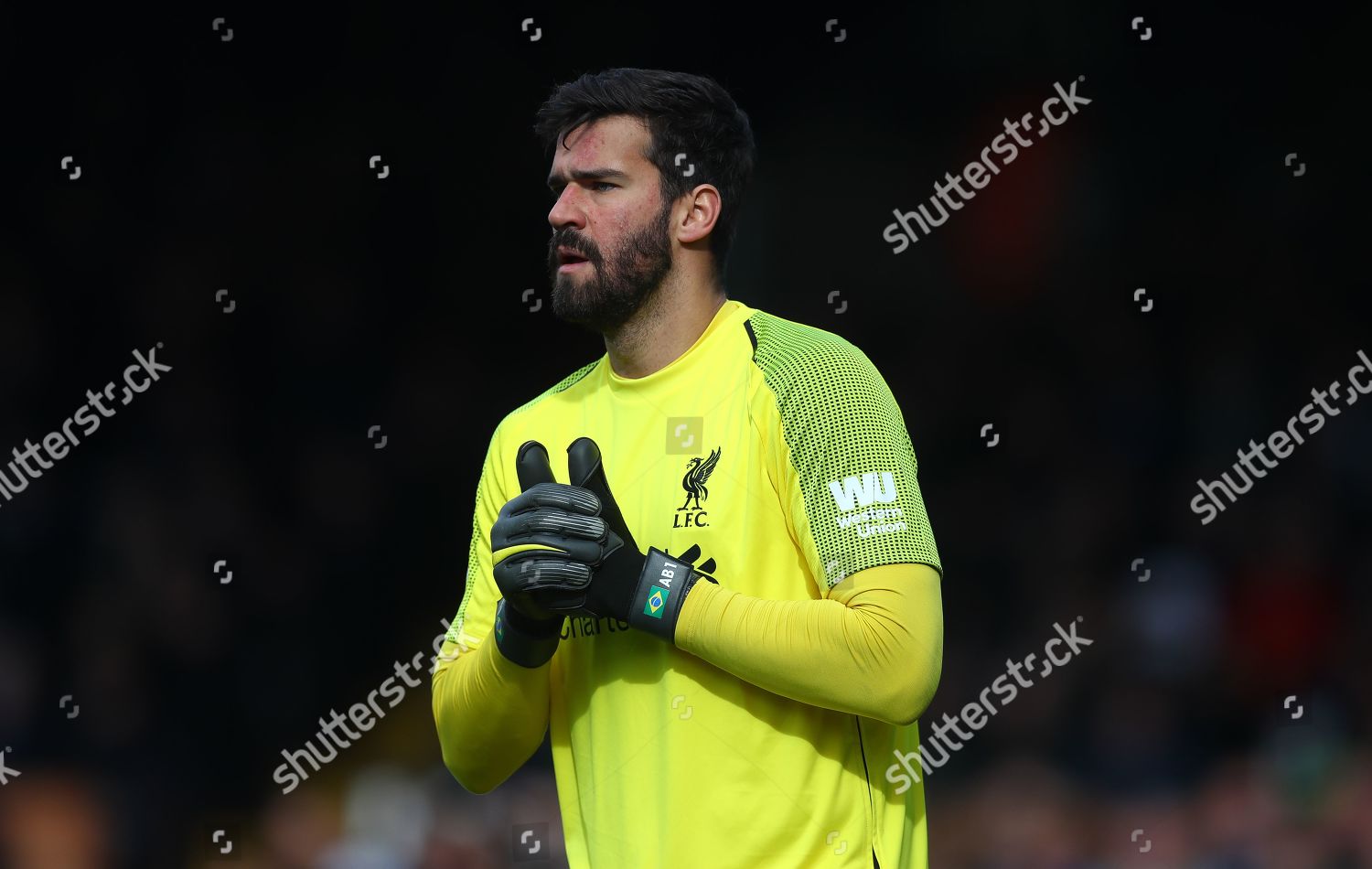 Liverpool Goalkeeper Alisson Becker Editorial Stock Photo - Stock Image ...