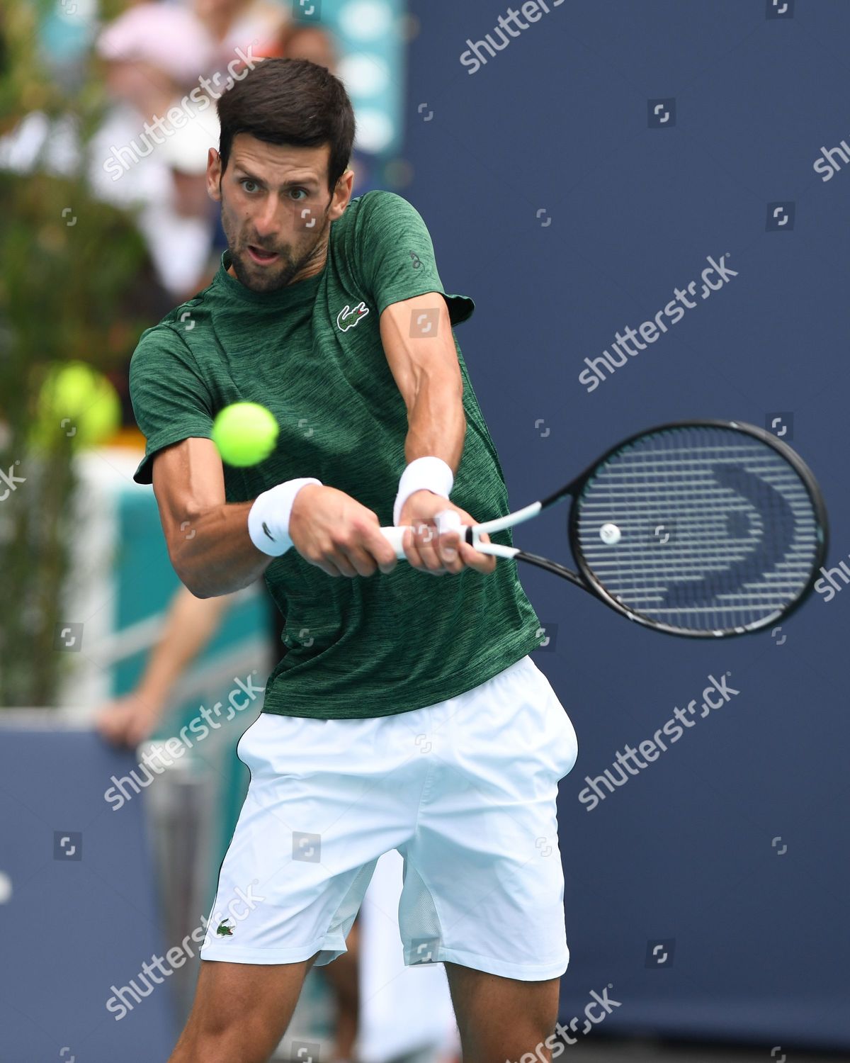 Novak Djokovic Editorial Stock Photo - Stock Image | Shutterstock