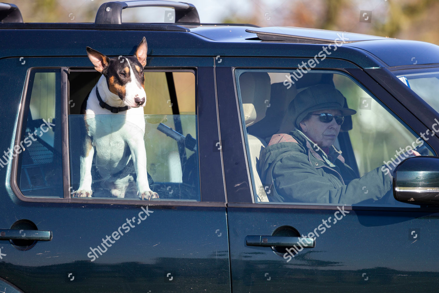 the-landrover-horse-trials-gatcombe-park-gloucestershire-uk-shutterstock-editorial-10165571ab.jpg