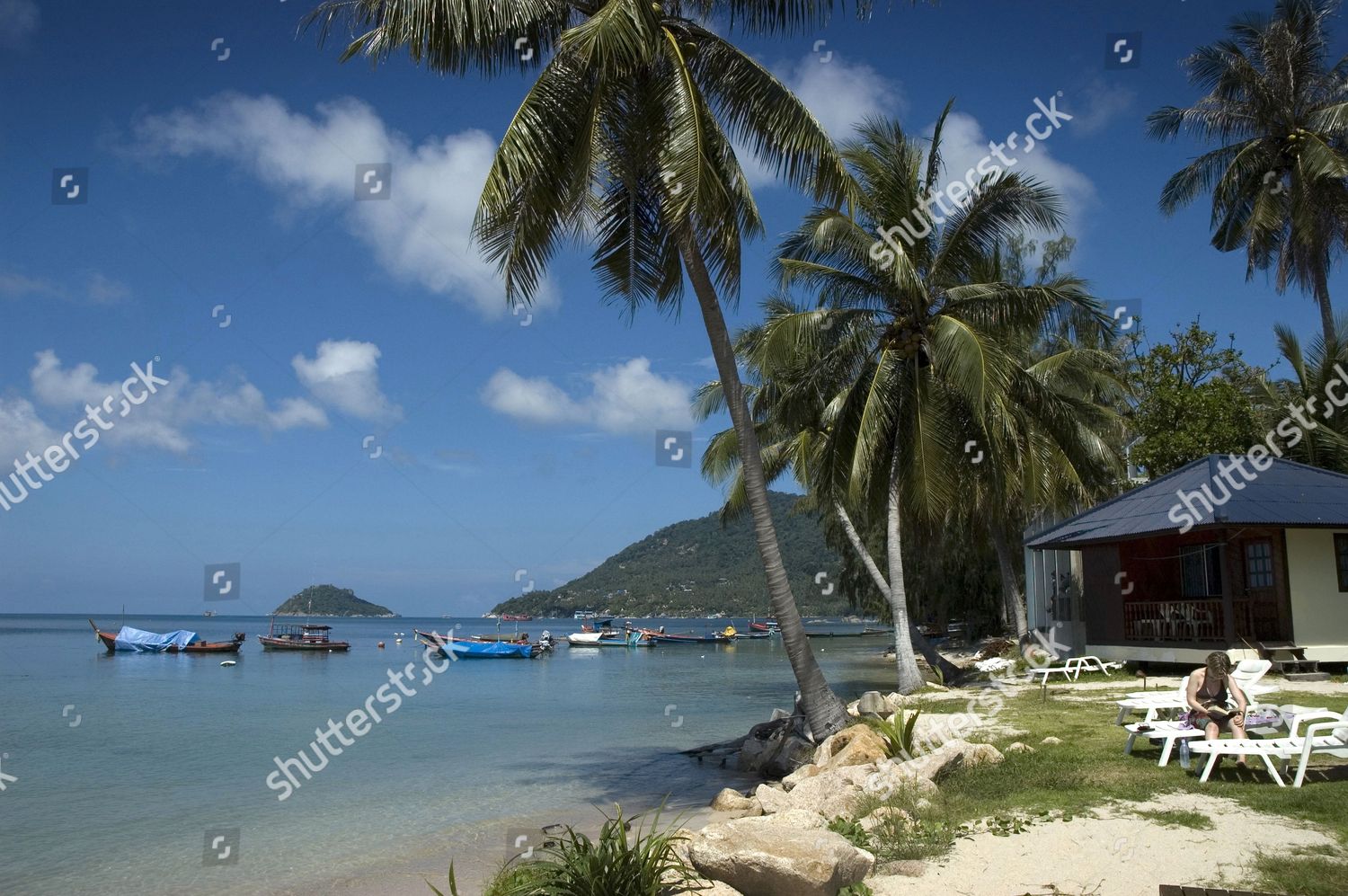 Beach Crystal Dive Resort Koh Tao Editorial Stock Photo Stock Image