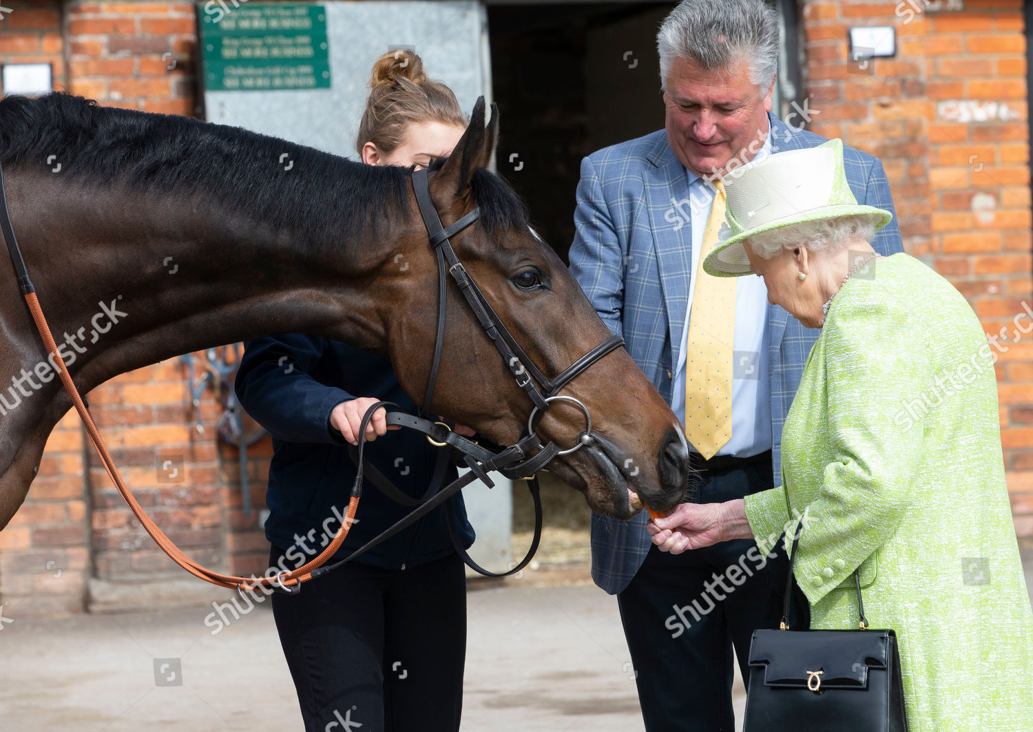 queen-elizabeth-ii-visits-manor-farm-stables-ditcheat-somerset-uk-shutterstock-editorial-10180611k.jpg