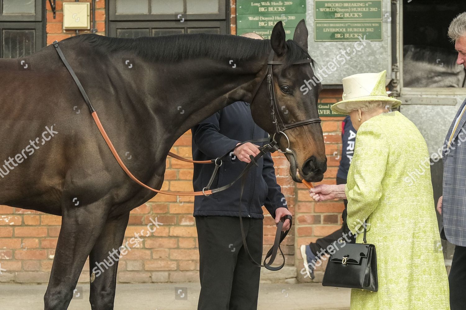 queen-elizabeth-visit-to-somerset-uk-shutterstock-editorial-10180815j.jpg