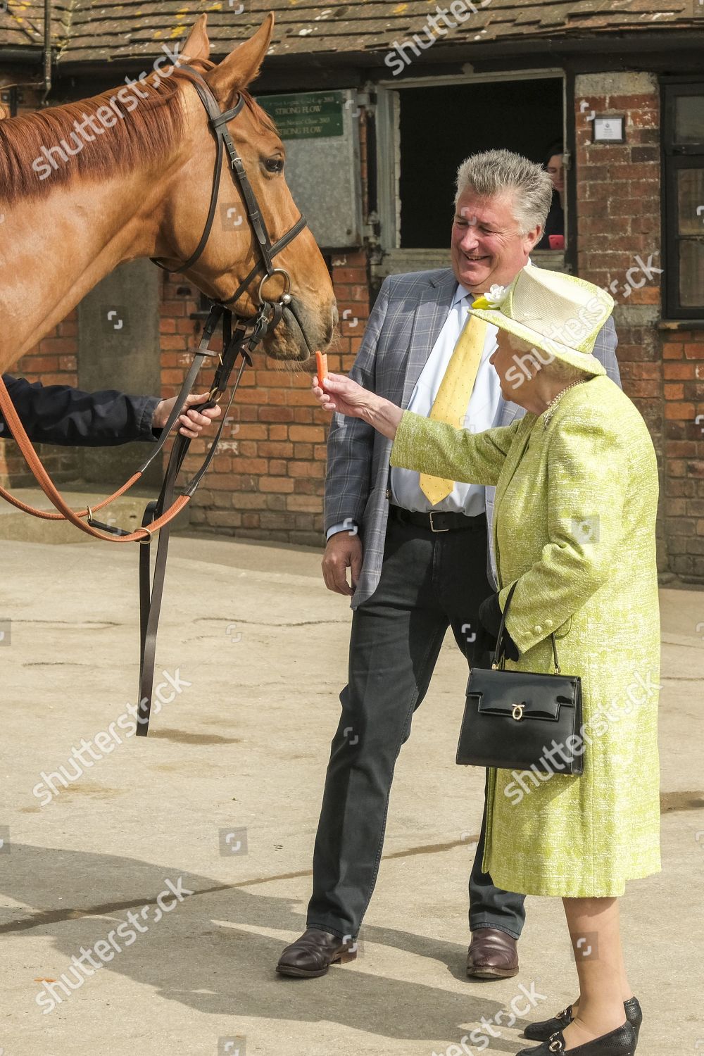 queen-elizabeth-visit-to-somerset-uk-shutterstock-editorial-10180815r.jpg