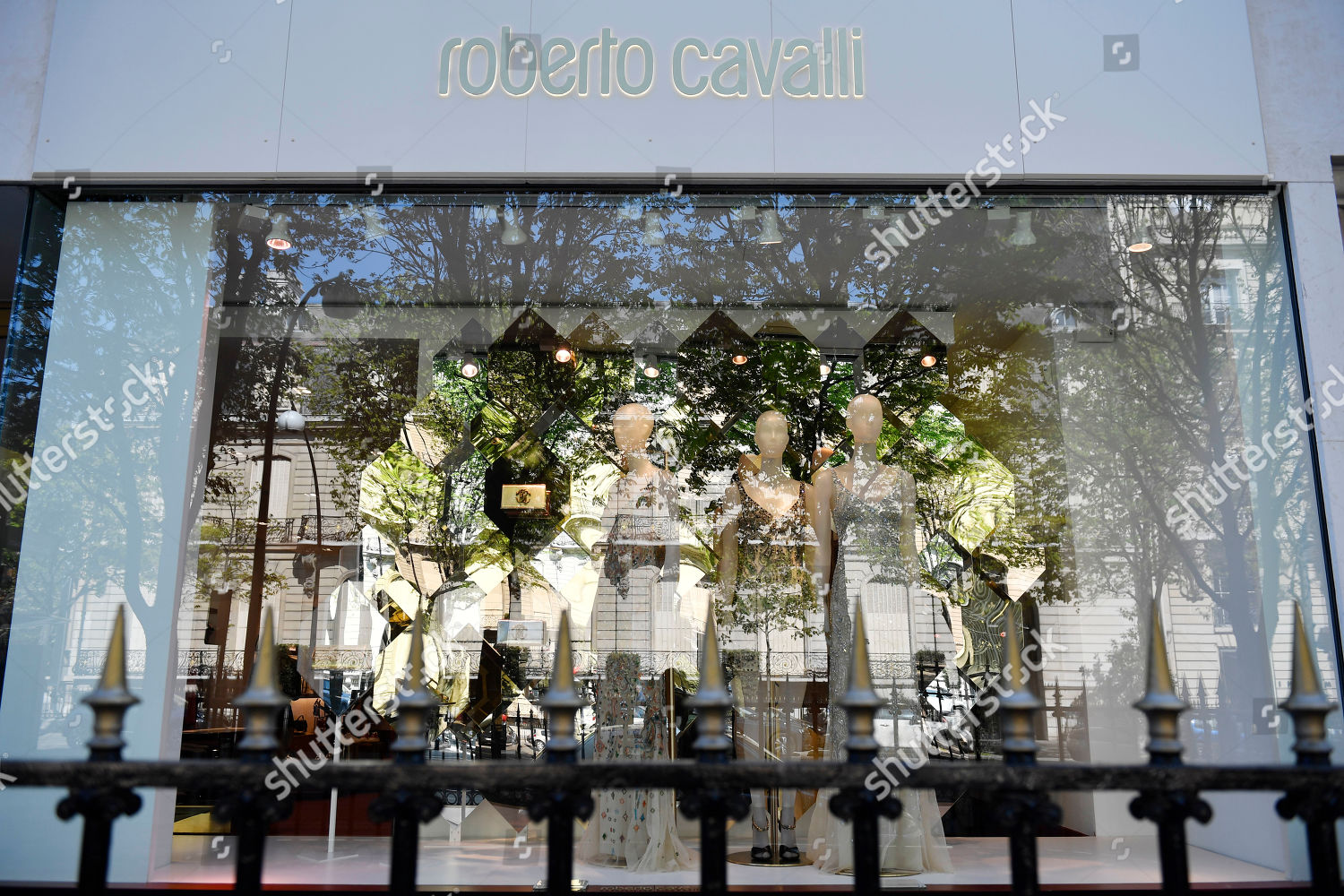 roberto cavalli paris