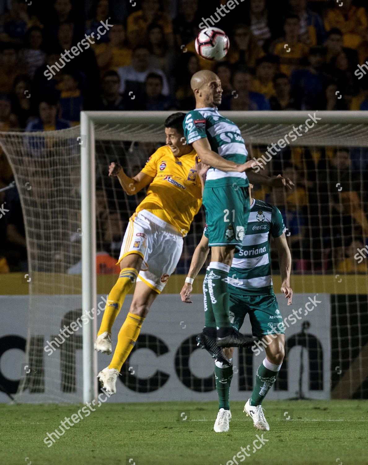 Hugo Ayala L Tigres Vies Ball Against Editorial Stock Photo Stock Image Shutterstock