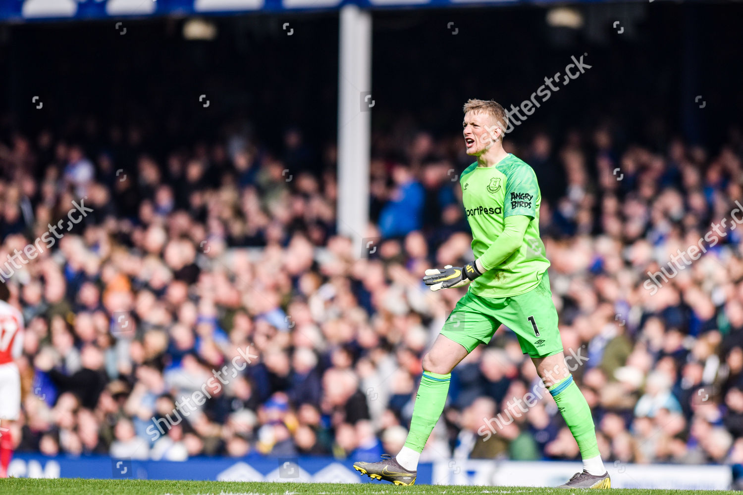 Jordan Pickford Reacts Everton Attacking Situations Editorial Stock ...