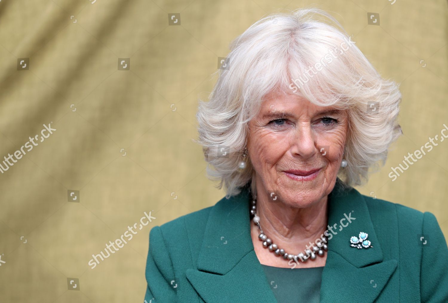 prince-charles-and-camilla-duchess-of-cornwall-visit-to-northern-ireland-uk-shutterstock-editorial-10195448r.jpg
