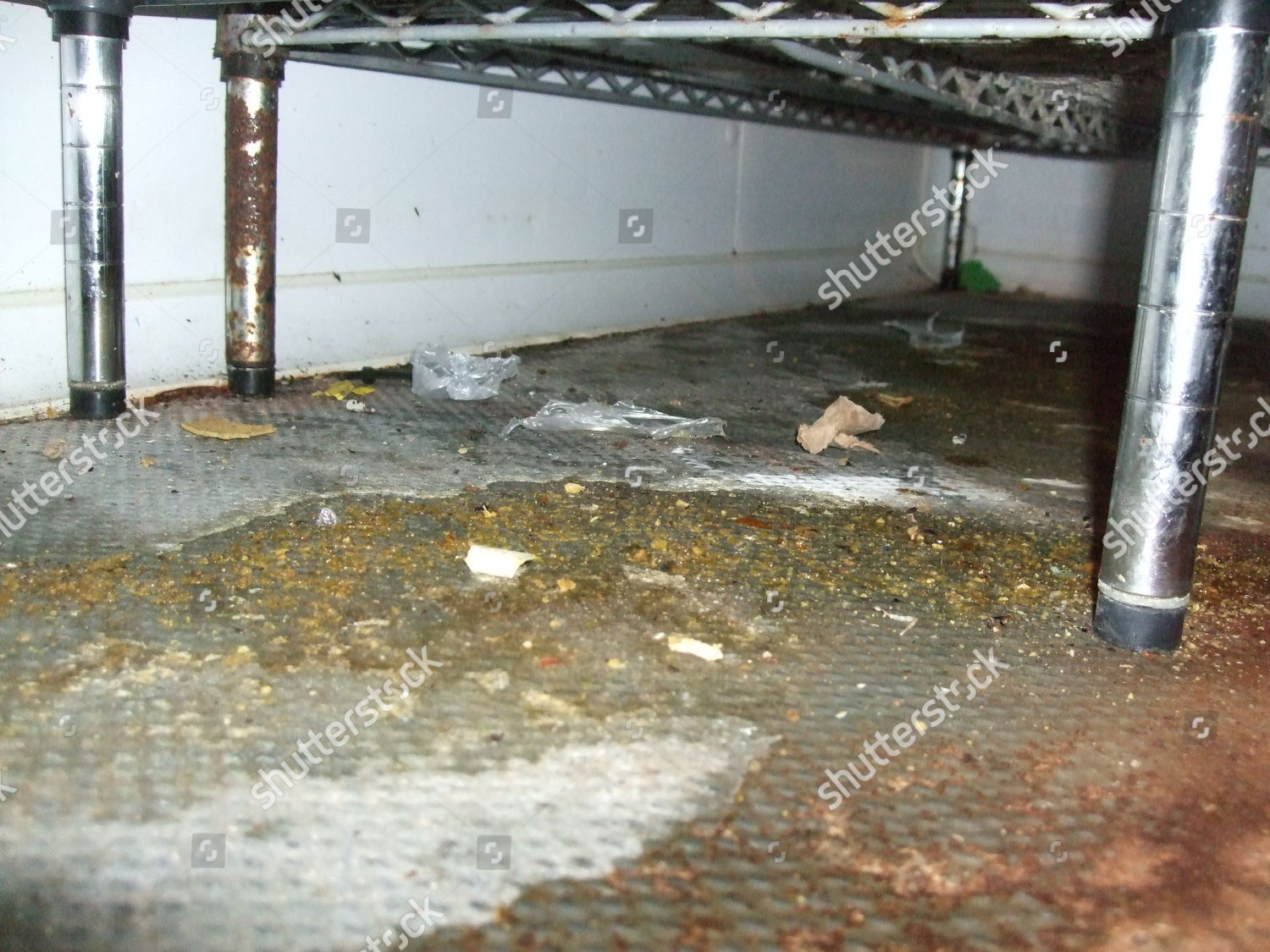 Debris Mouse Droppings Found By Officials Editorial Stock Photo Stock   Shutterstock 10212772c 