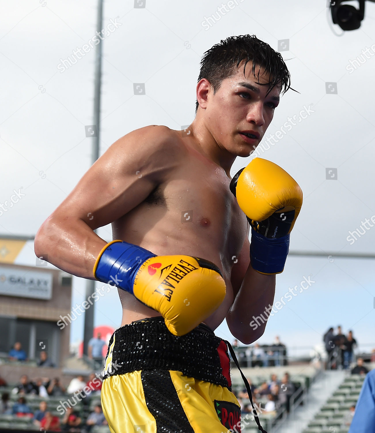 Brandon Figueroa Editorial Stock Photo - Stock Image | Shutterstock