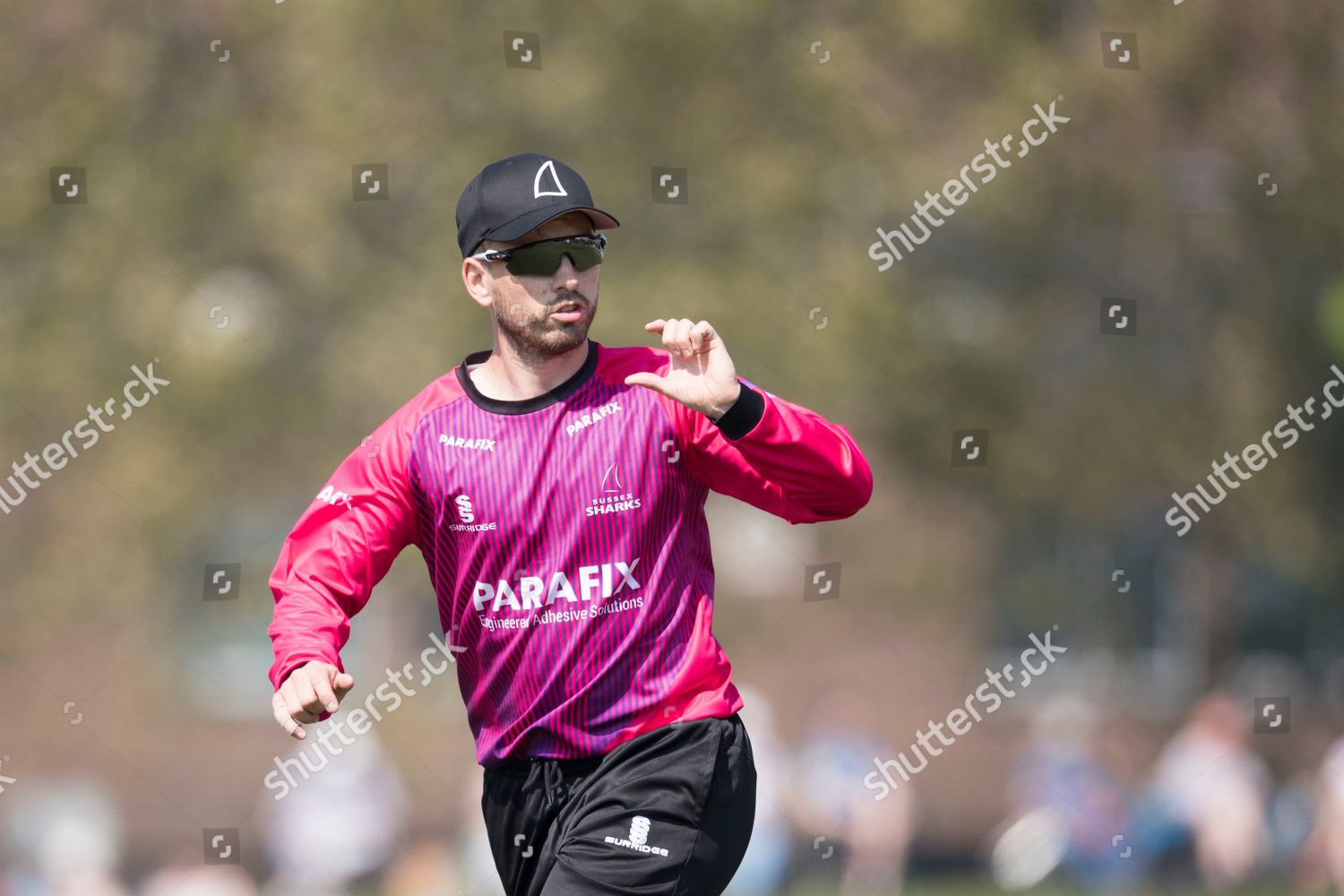 sussex cricket jersey