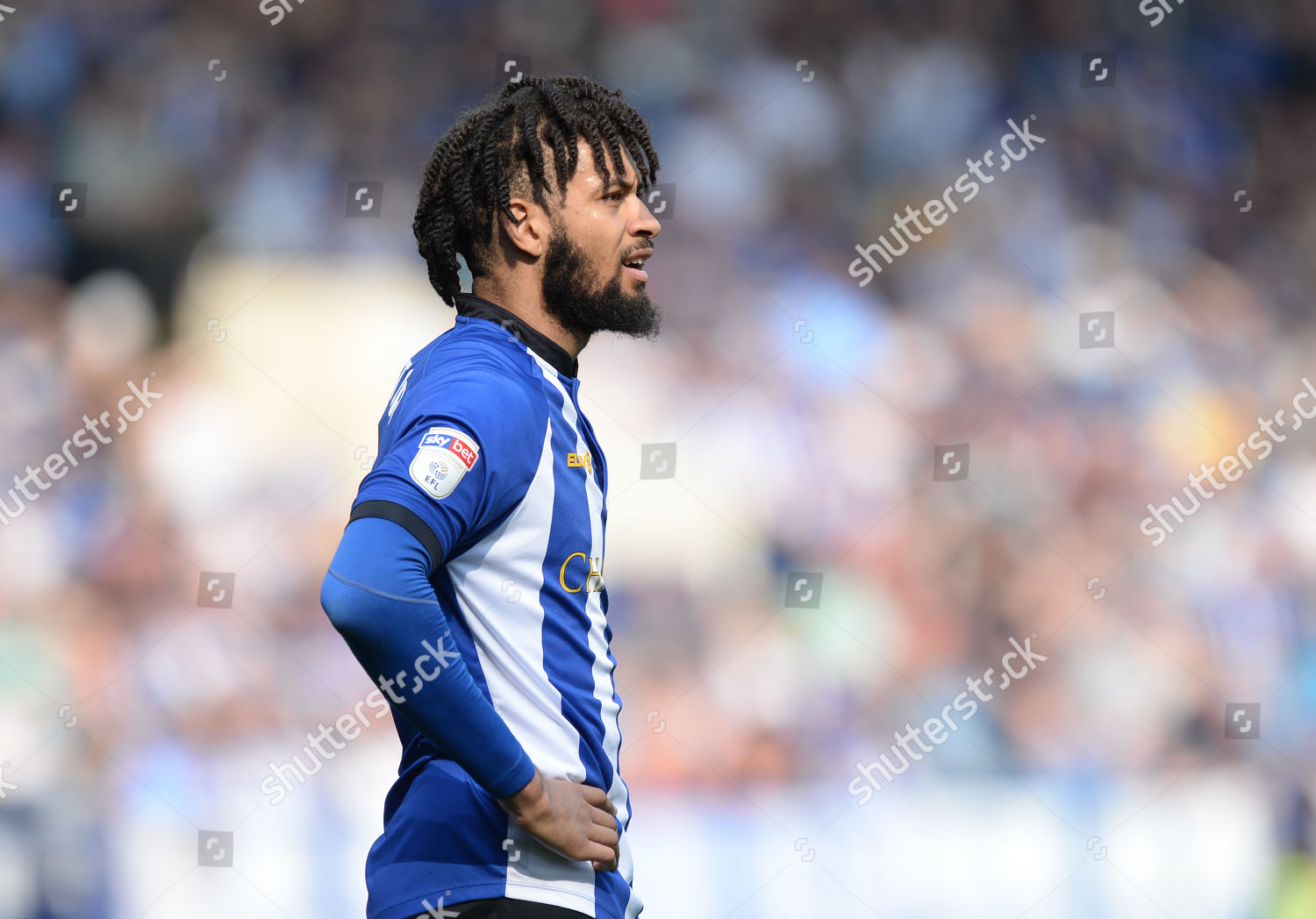 Michael Hector Sheffield Wednesday のエディトリアルストック写真 ストック画像 Shutterstock