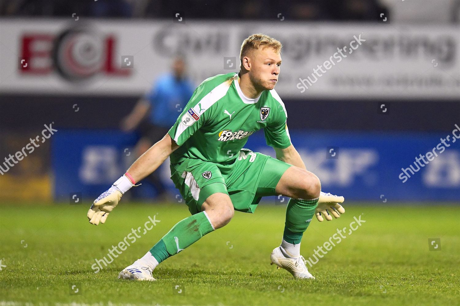 Afc Wimbledon Goalkeeper Aaron Ramsdale Gets Low Editorial Stock Photo Stock Image Shutterstock