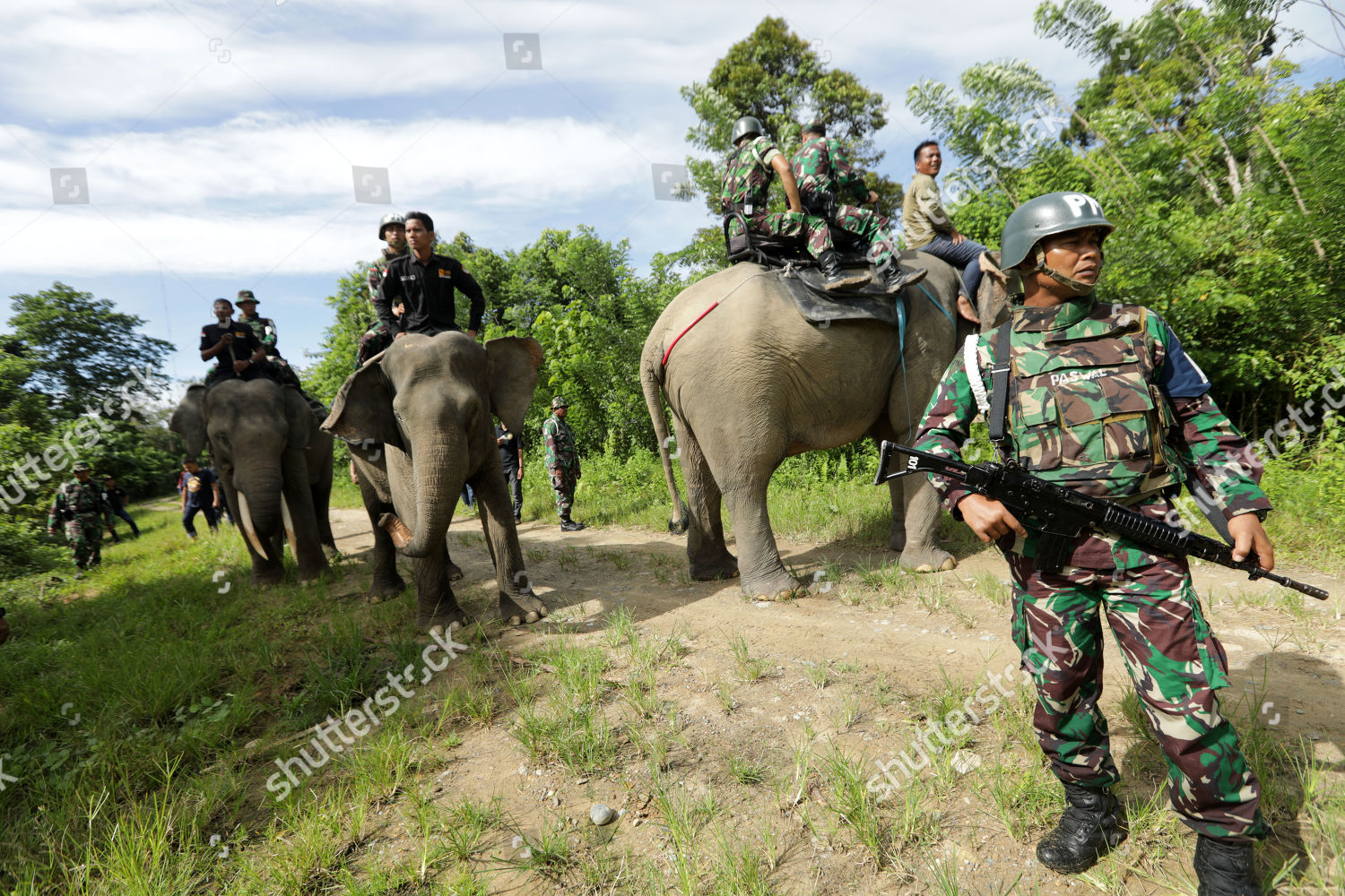 indonesian-military-police-unit-on-a-joint-patrol-with-elephants-at-cru-sampoinet-indonesia-shutterstock-editorial-10219956h.jpg