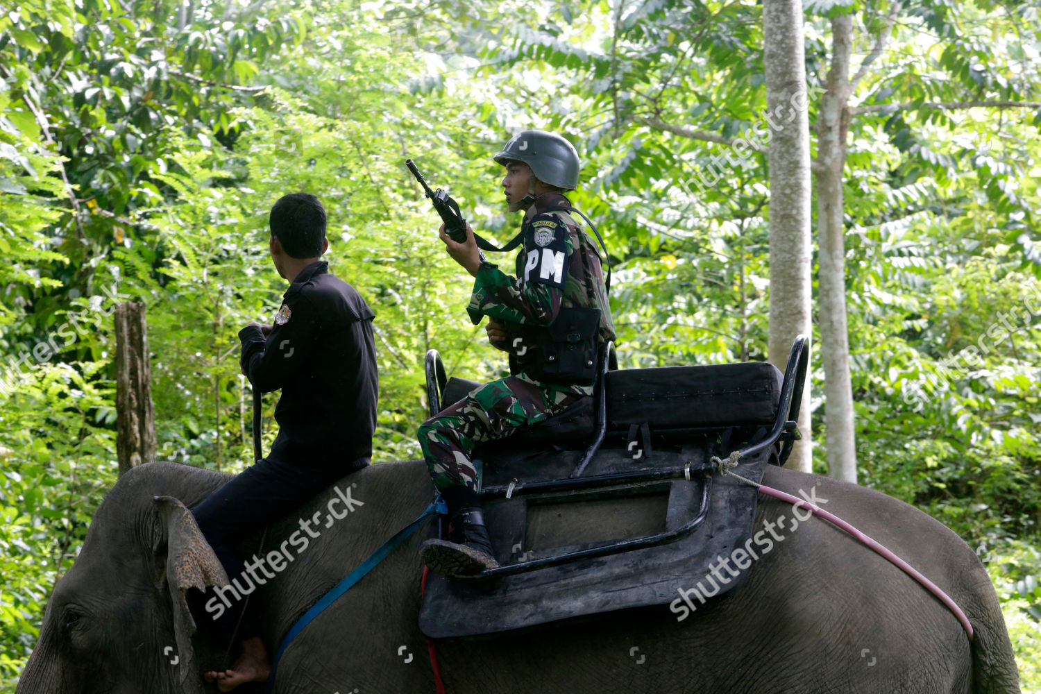 indonesian-military-police-unit-on-a-joint-patrol-with-elephants-at-cru-sampoinet-indonesia-shutterstock-editorial-10219956j.jpg