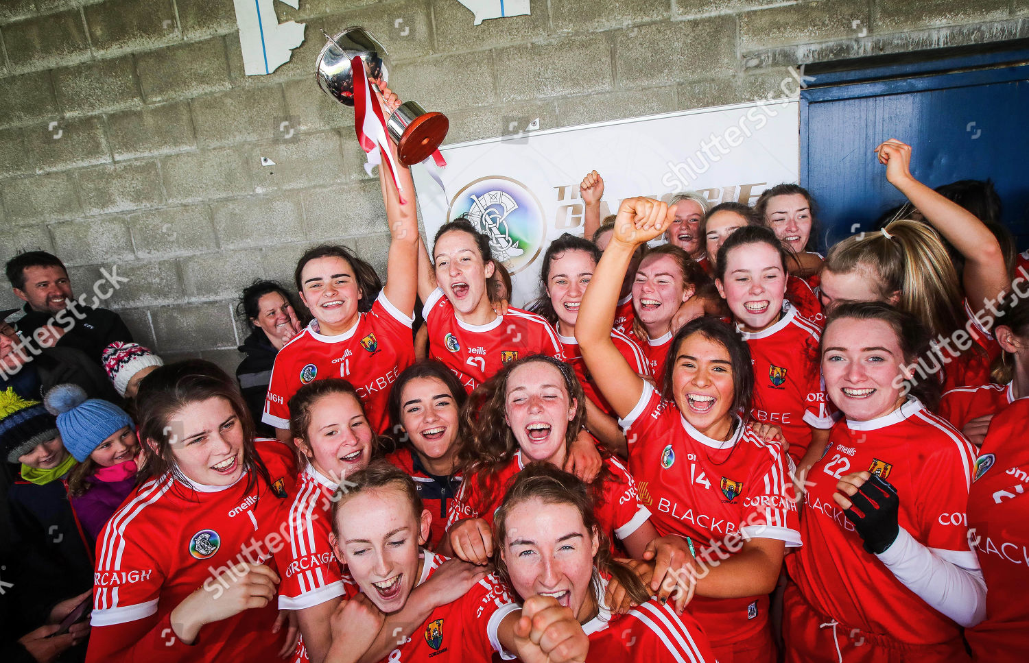 Clare Vs Cork Cork Celebrates Winning Editorial Stock Photo Stock