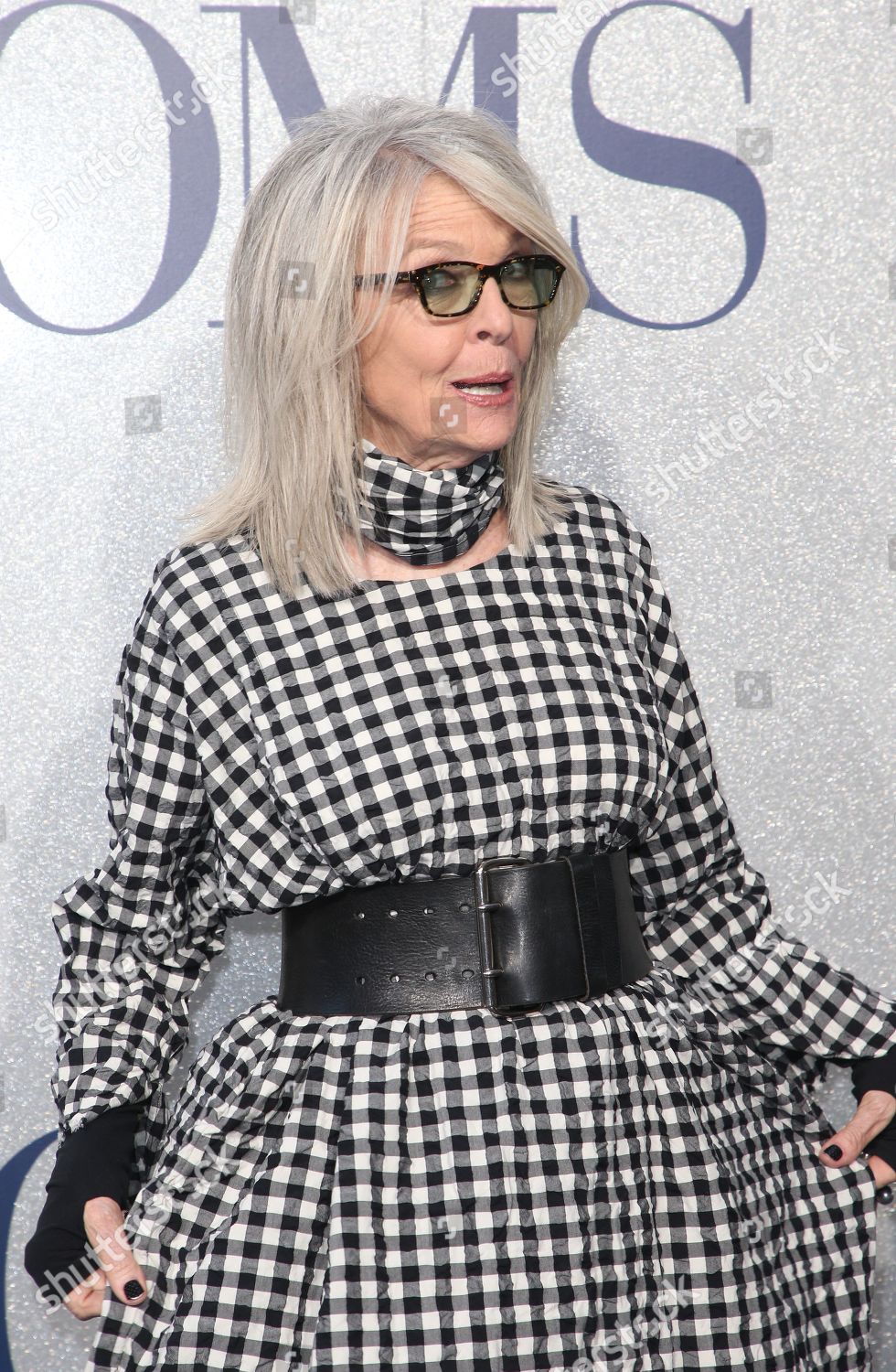 Diane Keaton Editorial Stock Photo - Stock Image | Shutterstock