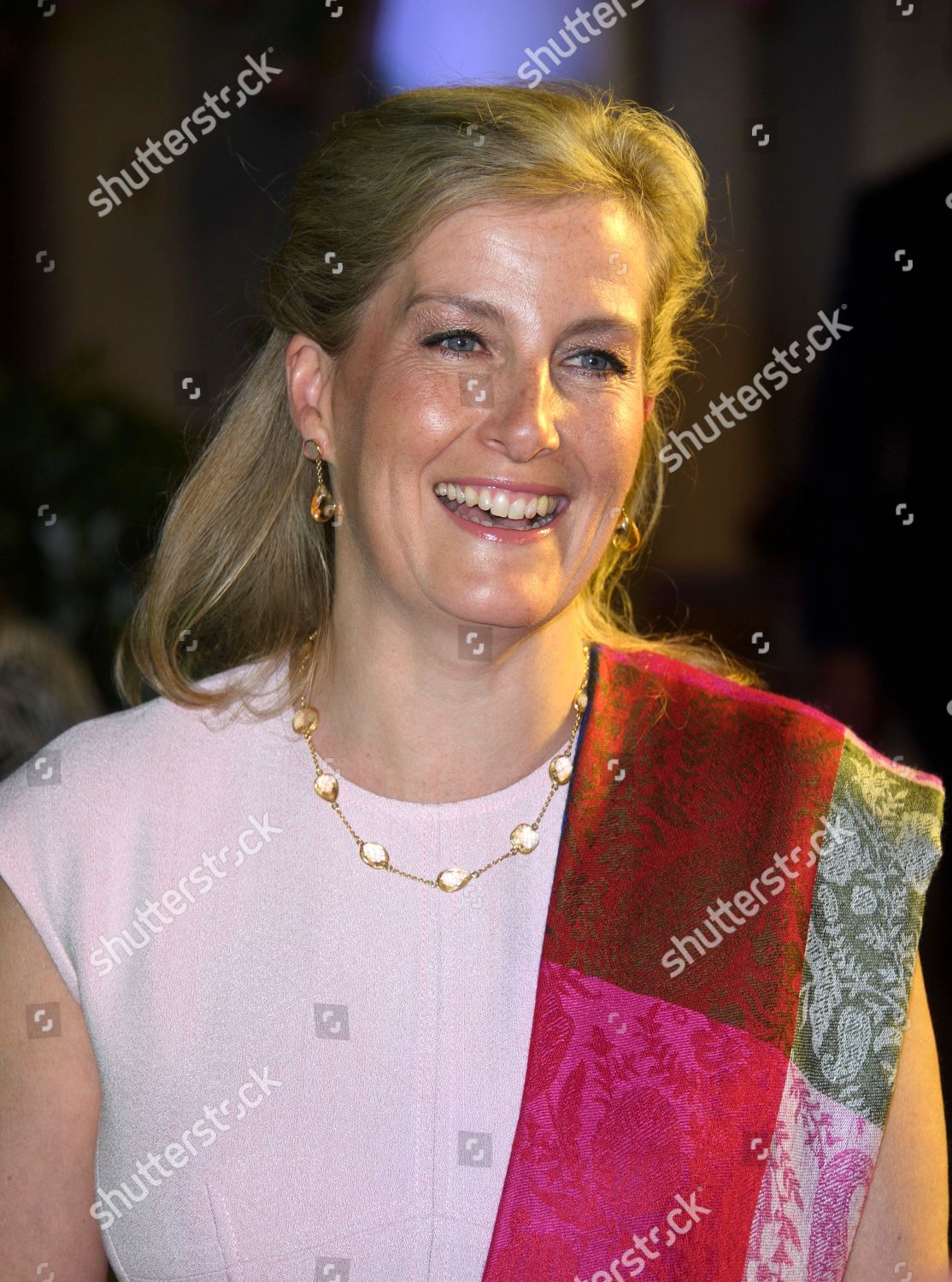 sophie-countess-of-wessex-visit-to-india-shutterstock-editorial-10226793c.jpg