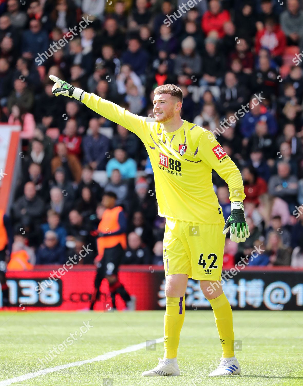 Goalkeeper Mark Travers Bournemouth Editorial Stock Photo - Stock Image ...