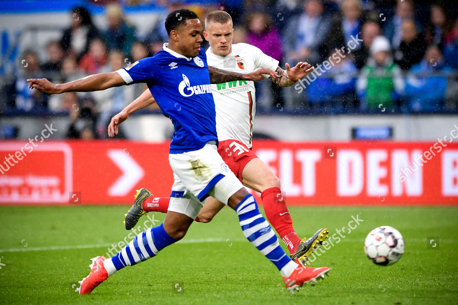 Schalkes Weston Mckennie L Action Against Augsburgs Editorial Stock Photo Stock Image Shutterstock