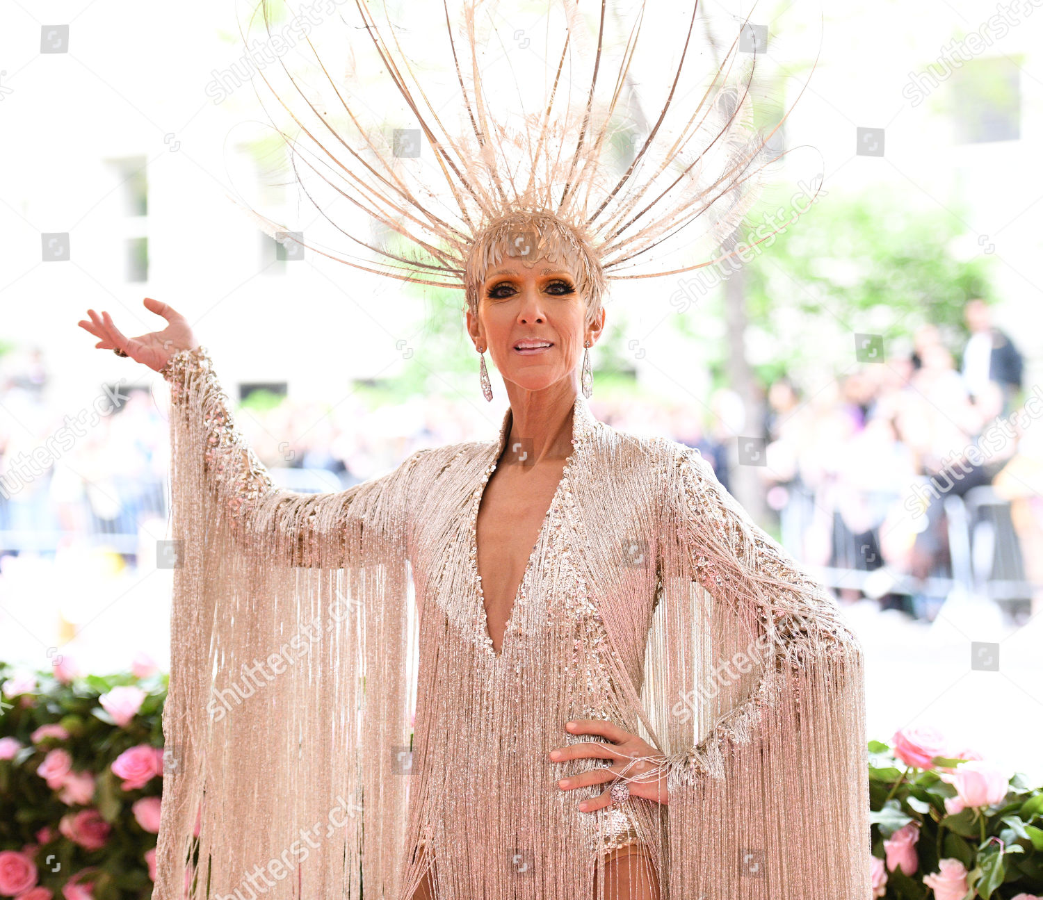 Celine Dion Editorial Stock Photo - Stock Image | Shutterstock