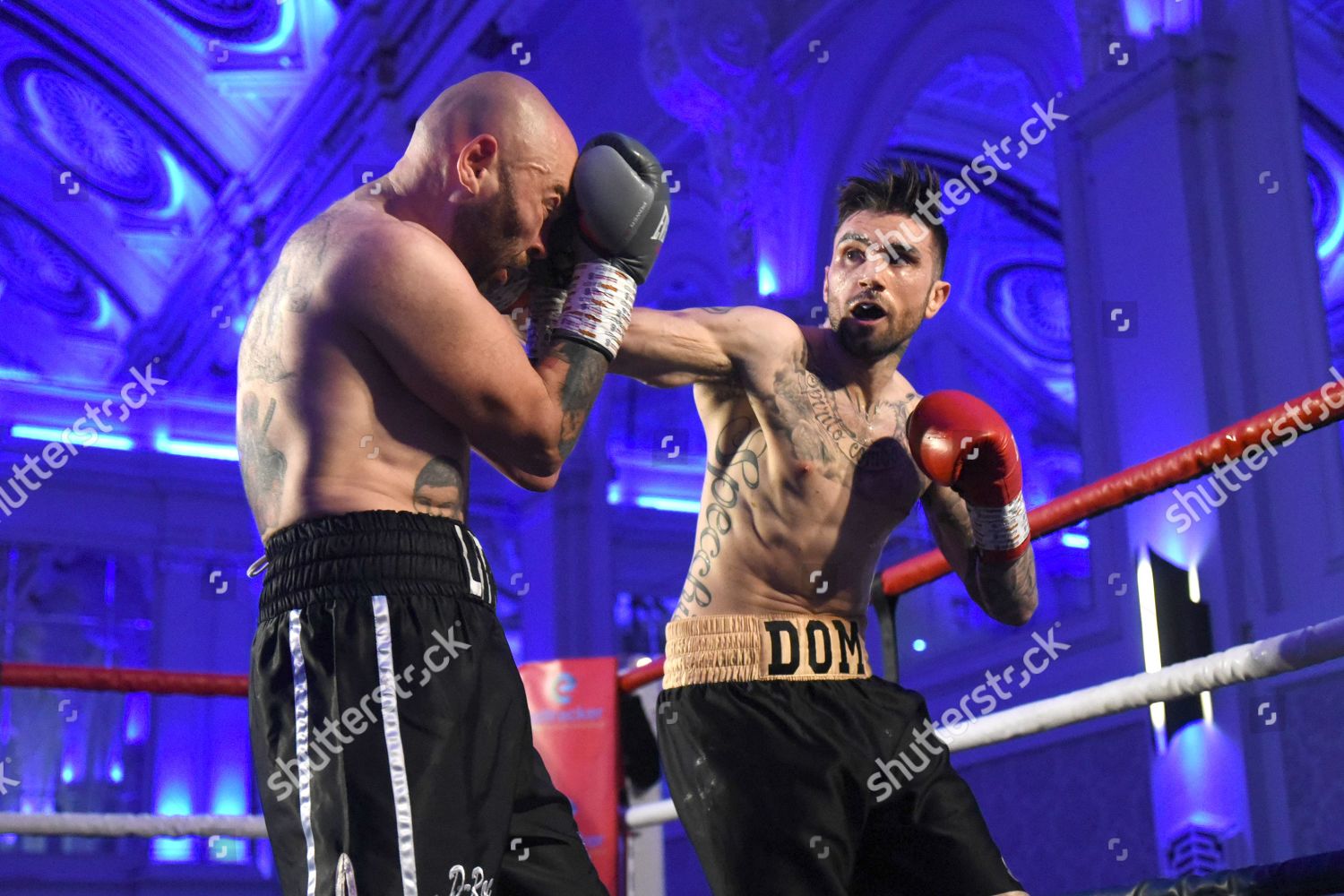 Domenic Specchio R Defeats Danny Little During Editorial