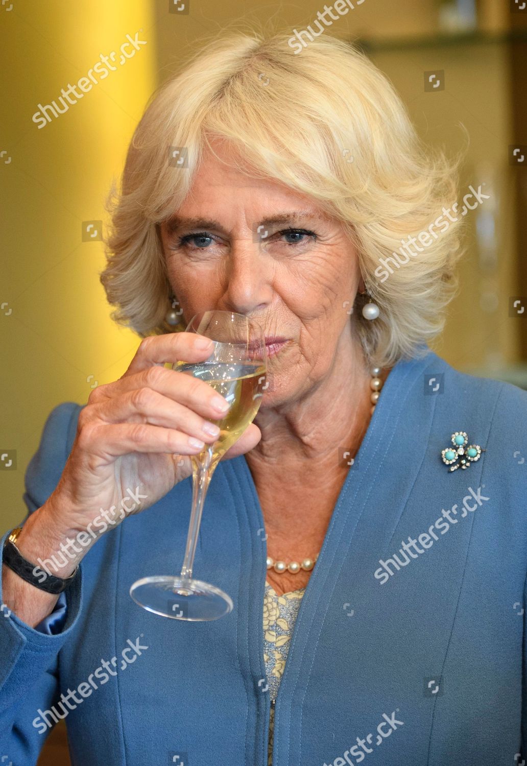 camilla-duchess-of-cornwall-visits-east-sussex-uk-shutterstock-editorial-10238528cr.jpg