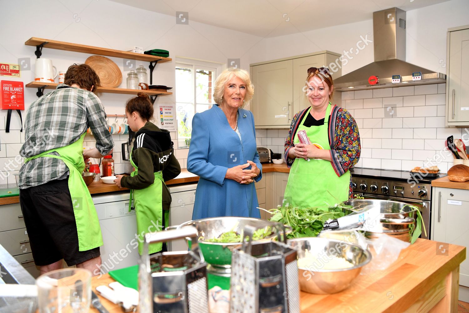 camilla-duchess-of-cornwall-visits-east-sussex-uk-shutterstock-editorial-10238528h.jpg