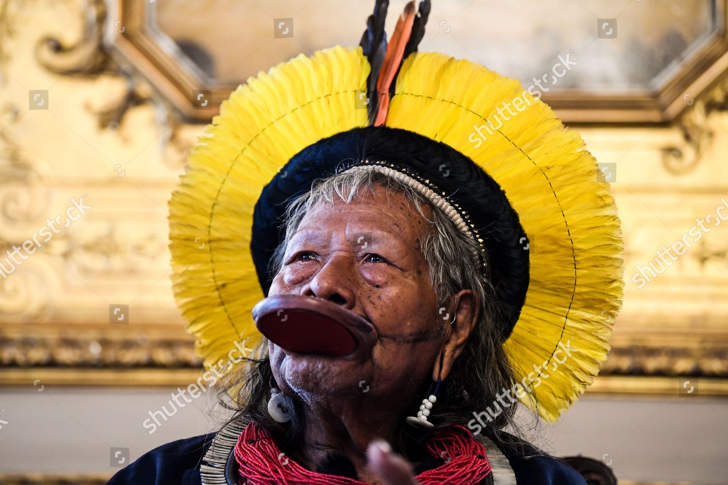 Raoni Metuktire Chief Indigenous Brazilian Kayapo Editorial Stock Photo Stock Image Shutterstock