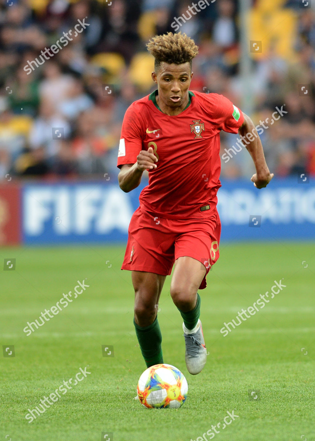 Gedson Fernandes Portugal Editorial Stock Photo Stock Image Shutterstock