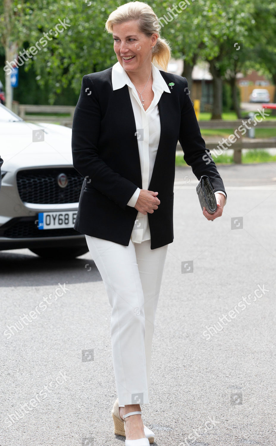 sophie-countess-of-wessex-visits-the-treloar-trust-college-holybourne-uk-shutterstock-editorial-10279529h.jpg