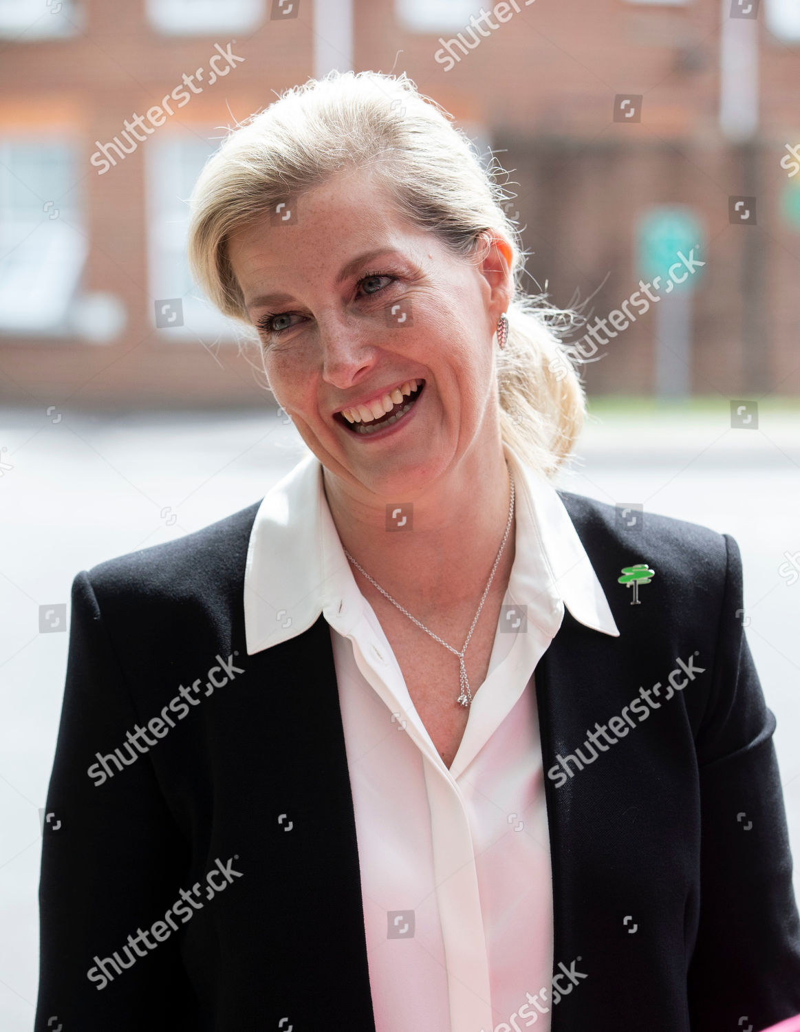 sophie-countess-of-wessex-visits-the-treloar-trust-college-holybourne-uk-shutterstock-editorial-10279529i.jpg