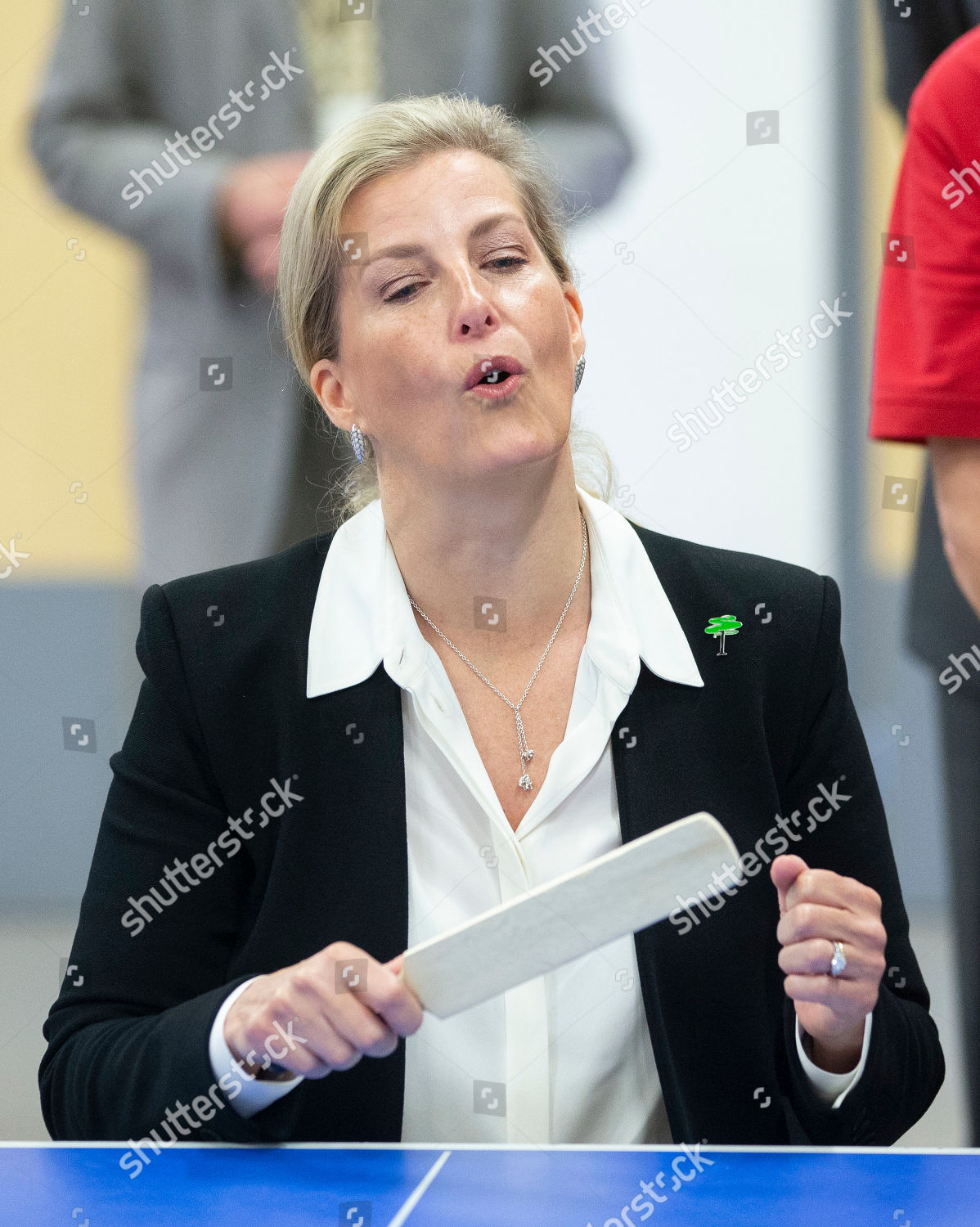 sophie-countess-of-wessex-visits-the-treloar-trust-college-holybourne-uk-shutterstock-editorial-10279529y.jpg
