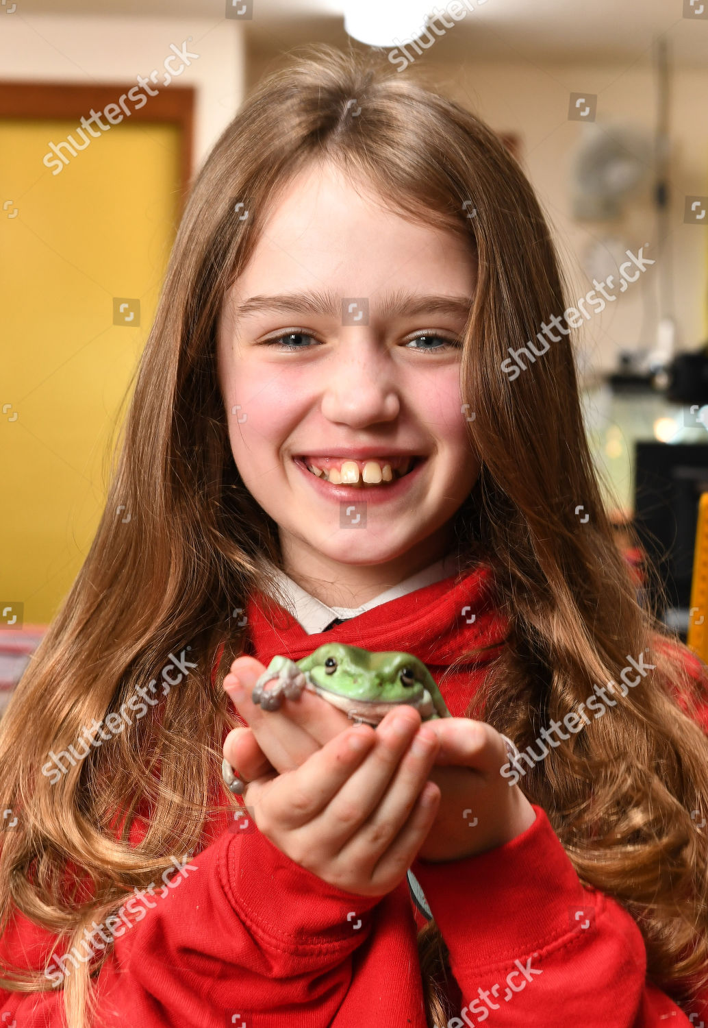 Uks Most Eco Friendly School Lily Editorial Stock Photo Stock Image