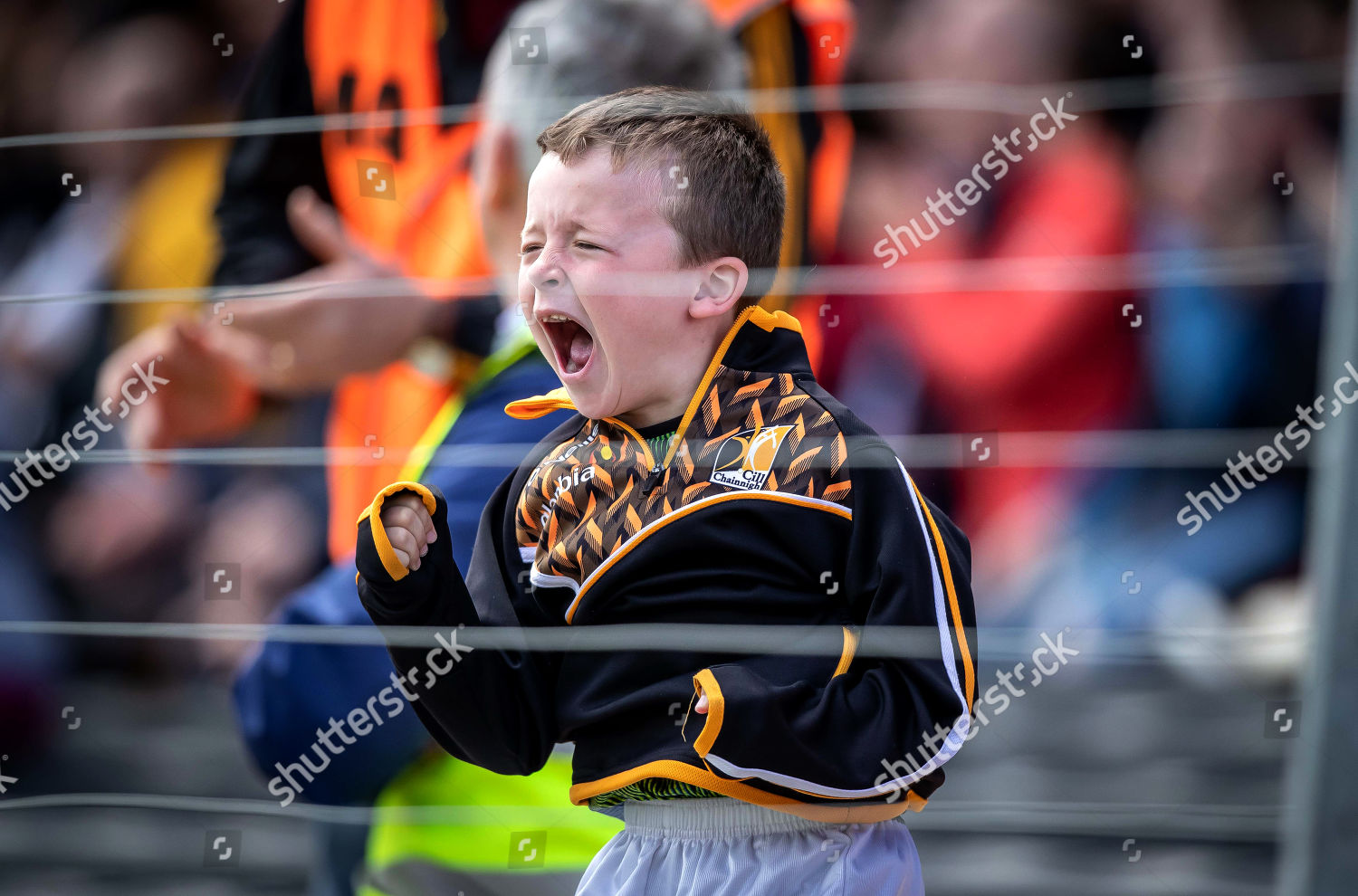 Kilkenny Vs Galway Young Kilkenny Fan Celebrates Editorial Stock