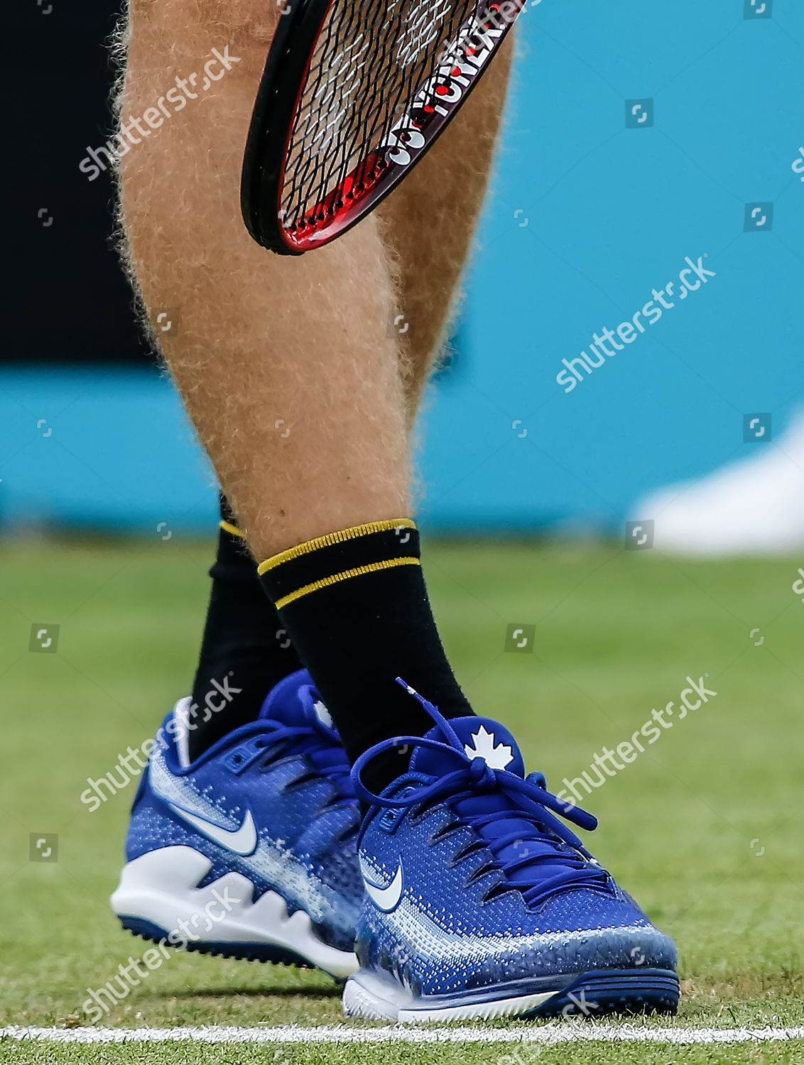 shapovalov nike shoes