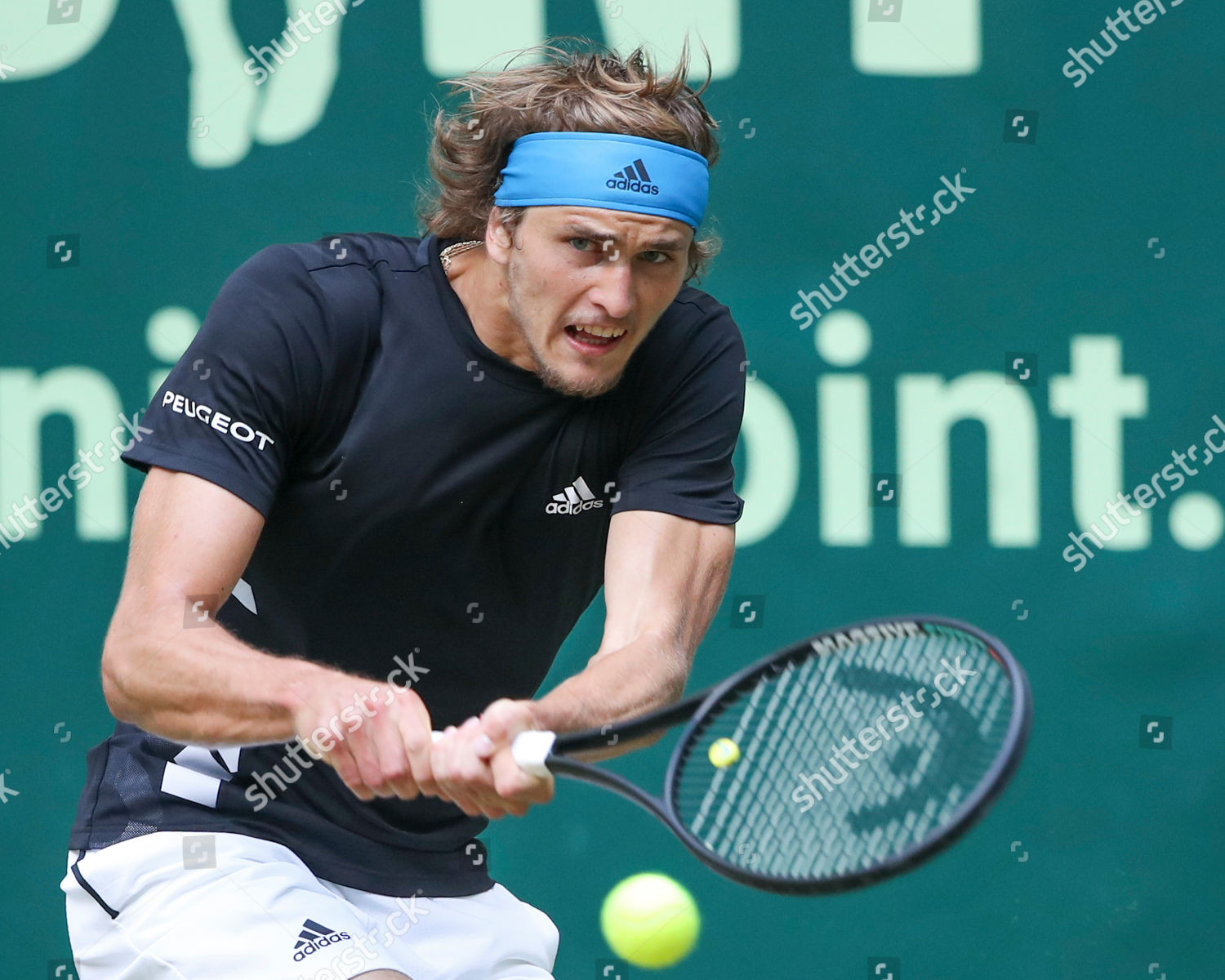 Alexander Zverev Editorial Stock Photo - Stock Image | Shutterstock