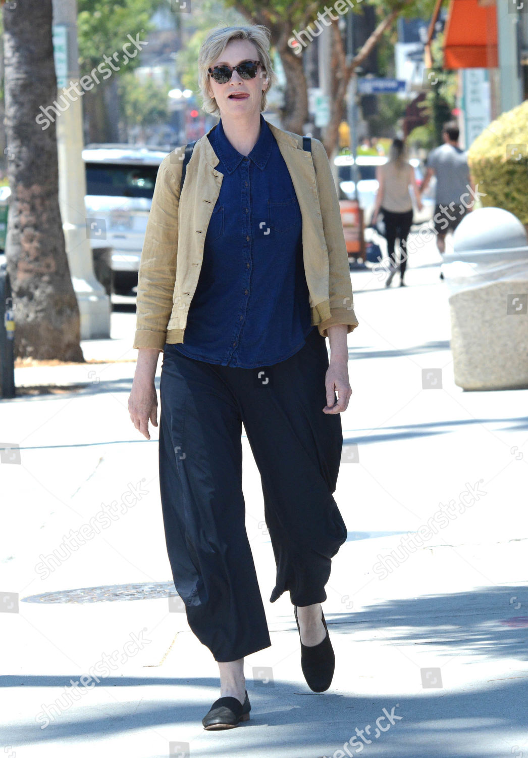 Jane Lynch Editorial Stock Photo - Stock Image | Shutterstock