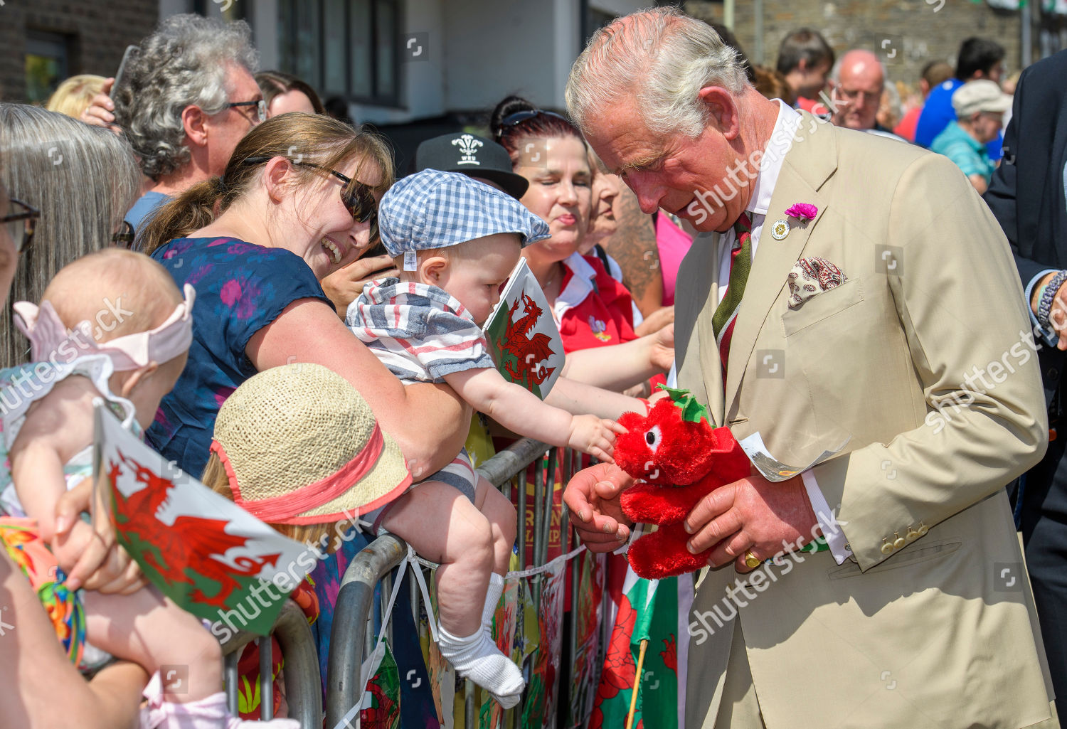 prince-charles-and-camilla-duchess-of-cornwall-visit-to-wales-uk-shutterstock-editorial-10327726ax.jpg