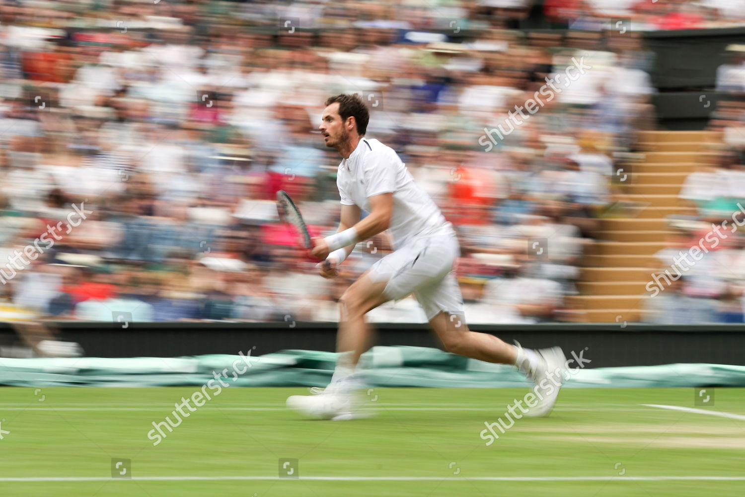 Andy Murray During His Mixed Doubles Editorial Stock Photo Stock