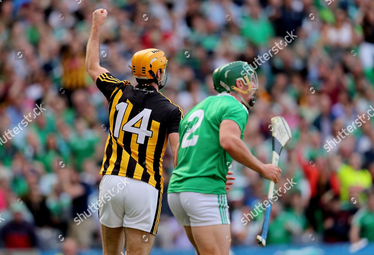 Limerick Vs Kilkenny Kilkennys Colin Fennelly Editorial Stock Photo