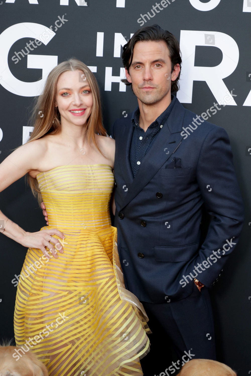 Amanda Seyfried Milo Ventimiglia Editorial Stock Photo Stock Image(02)