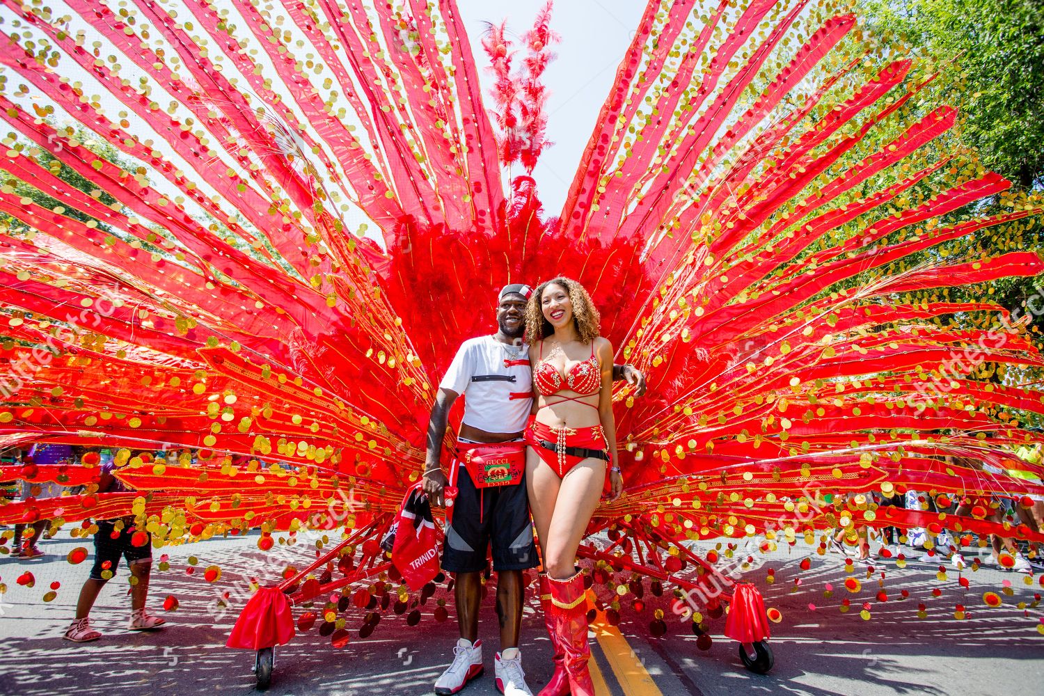 participants-toronto-caribbean-carnival-which-one-editorial-stock-photo