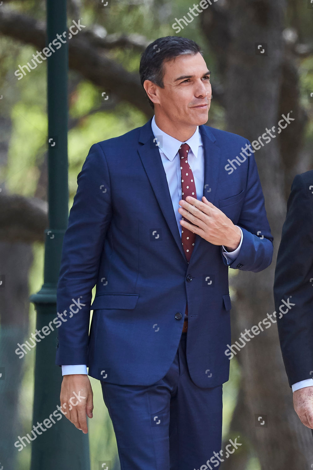 Spanish Prime Minister Pedro Sanchez Editorial Stock Photo - Stock Image |  Shutterstock