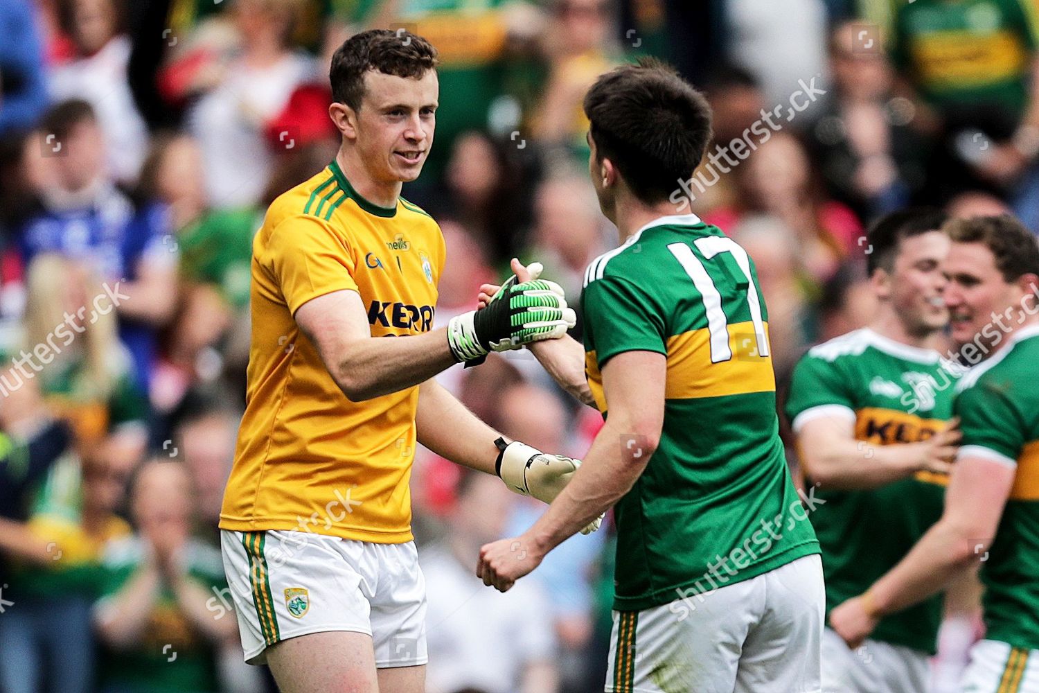 Kerry Vs Tyrone Kerry Goalkeeper Shane Editorial Stock Photo Stock