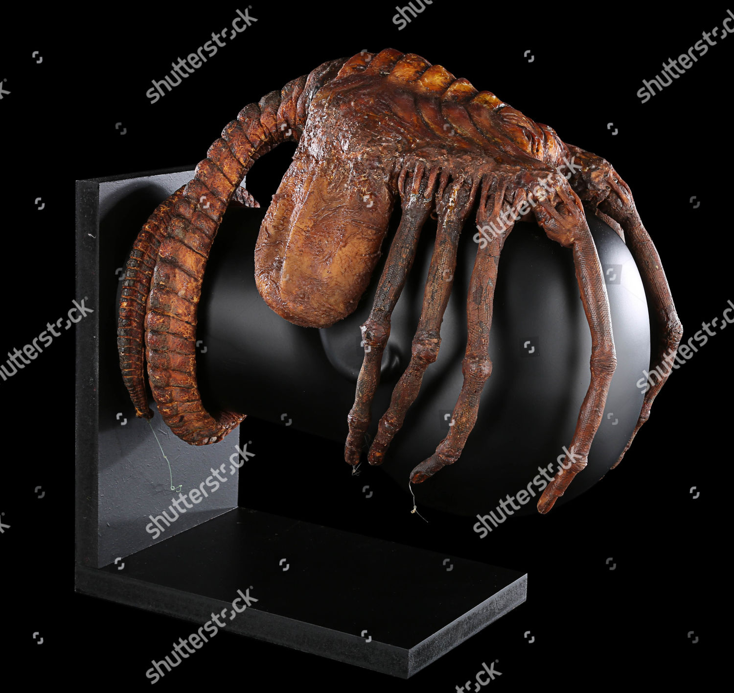 Special Effects Facehugger Ridley Scotts Scifi Editorial Stock Photo ...